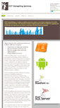 Mobile Screenshot of ccitconsulting.com